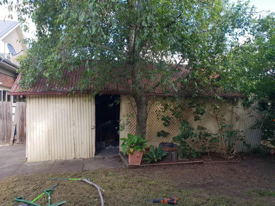 Old corrugated iron shed under a tree in a Preston backyard before demolition